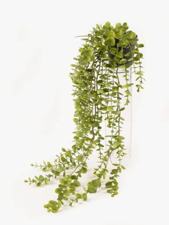 Artificial Plant 27*27*57cm Eucalyptus Leaf  in PP pot GS-05524012 Potted Flowers&Plants 3,000+ sqm showroom with thousands of artificial flowers, plants & trees ready for global sourcing.