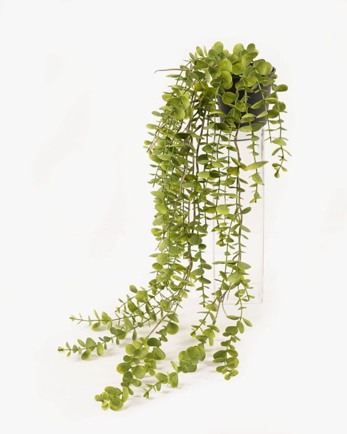 Artificial Plant 25*25*67cm Eucalyptus Leaf  in PP pot GS-05524011-G2 2024Feb YeahFlower is one of Chinese leading OEM manufacturers and exporters , supplying the silk flowers, wholesale artificial trees