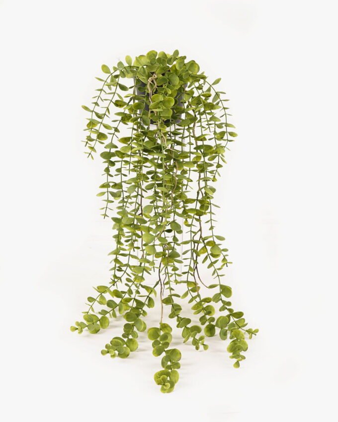 Artificial Plant 25*25*67cm Eucalyptus Leaf  in PP pot GS-05524011-G2 2024Feb YeahFlower is one of Chinese leading OEM manufacturers and exporters , supplying the silk flowers, wholesale artificial trees