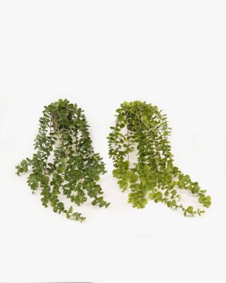 Artificial Plant 25*25*67cm Eucalyptus Leaf  in PP pot GS-05524011 2024Feb YeahFlower is one of Chinese leading OEM manufacturers and exporters , supplying the silk flowers, wholesale artificial trees