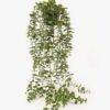 Artificial Plant Eucalyptus Leaf in PP pot GS-05524011_2 Artificial Plant 25*25*67cm Eucalyptus Leaf in PP pot GS-05524011 2024Feb YeahFlower is one of Chinese leading OEM manufacturers and exporters , supplying the silk flowers, wholesale artificial trees