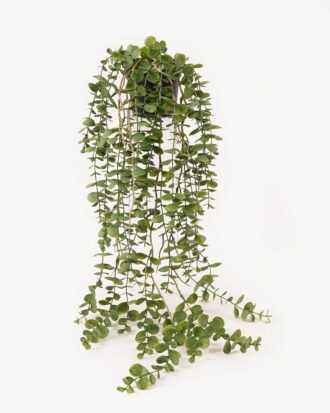 Artificial Plant 25*25*67cm Eucalyptus Leaf  in PP pot GS-05524011 2024Feb YeahFlower is one of Chinese leading OEM manufacturers and exporters , supplying the silk flowers, wholesale artificial trees