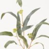 Artificial Plant 20*20*58cm Eucalyptus single stem HT-24-084 2024Mar YeahFlower is one of Chinese leading OEM manufacturers and exporters , supplying the silk flowers, wholesale artificial trees