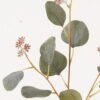 Artificial Plant 18*18*55cm Eucalyptus single stem HT-24-085 2024Mar YeahFlower is one of Chinese leading OEM manufacturers and exporters , supplying the silk flowers, wholesale artificial trees