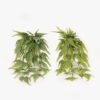 Artificial Plant 23*23*70cm Frond  in PP pot GS-05524018 2024Feb YeahFlower is one of Chinese leading OEM manufacturers and exporters , supplying the silk flowers, wholesale artificial trees