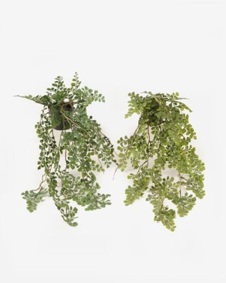 Artificial Plant 20*20*67cm Frond  in PP pot GS-05524019 2024Feb YeahFlower is one of Chinese leading OEM manufacturers and exporters , supplying the silk flowers, wholesale artificial trees