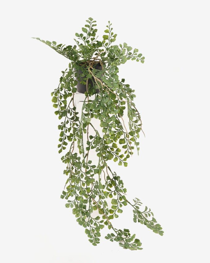 Artificial Plant 20*20*67cm Frond  in PP pot GS-05524019 2024Feb YeahFlower is one of Chinese leading OEM manufacturers and exporters , supplying the silk flowers, wholesale artificial trees