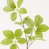 Artificial Plant 30*30*81cm Leaf single stem GS-53623063-G1 2024Feb YeahFlower is one of Chinese leading OEM manufacturers and exporters , supplying the silk flowers, wholesale artificial trees