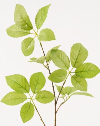 Artificial Plant 30*30*81cm Leaf single stem GS-53623063-G1 2024Feb YeahFlower is one of Chinese leading OEM manufacturers and exporters , supplying the silk flowers, wholesale artificial trees