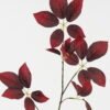 Artificial Plant 30*30*81cm Leaf single stem GS-53623063-R2 2024Feb YeahFlower is one of Chinese leading OEM manufacturers and exporters , supplying the silk flowers, wholesale artificial trees