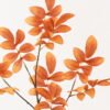Artificial Plant 30*30*71cm Leaf single stem GS-53623064-O1 2024Feb YeahFlower is one of Chinese leading OEM manufacturers and exporters , supplying the silk flowers, wholesale artificial trees