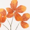 Artificial Plant 35*35*79cm Leaf single stem GS-53623066-O1 2024Feb YeahFlower is one of Chinese leading OEM manufacturers and exporters , supplying the silk flowers, wholesale artificial trees