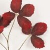 Artificial Plant 35*35*79cm Leaf single stem GS-53623066-R2 2024Feb YeahFlower is one of Chinese leading OEM manufacturers and exporters , supplying the silk flowers, wholesale artificial trees