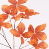 Artificial Plant 55*55*135cm Leaf single stem GS-53623067-O1 2024Feb YeahFlower is one of Chinese leading OEM manufacturers and exporters , supplying the silk flowers, wholesale artificial trees