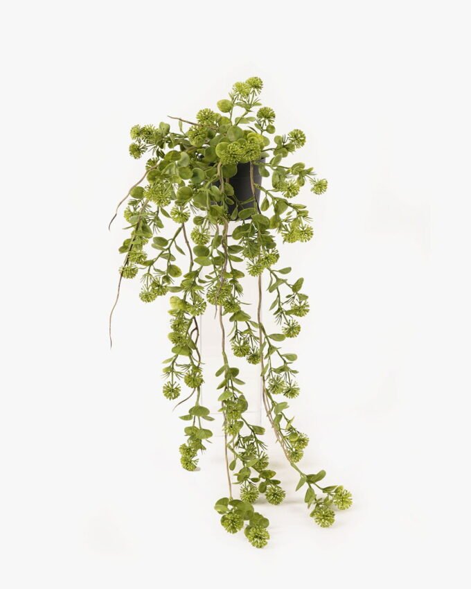 Artificial Plant Moneyball in PP pot GS-05524013_7 Artificial Plant 22*22*53cm Moneyball in PP pot GS-05524013 2024Feb YeahFlower is one of Chinese leading OEM manufacturers and exporters , supplying the silk flowers, wholesale artificial trees