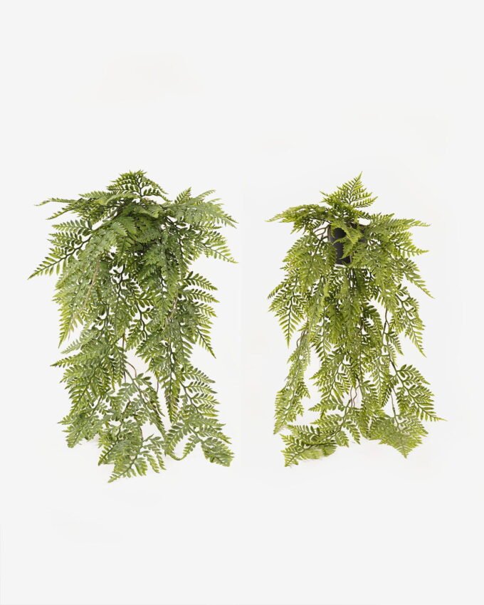 Artificial Plant 25*25*68cm Persian leaf  in PP pot GS-05524020-G1 2024Feb YeahFlower is one of Chinese leading OEM manufacturers and exporters , supplying the silk flowers, wholesale artificial trees