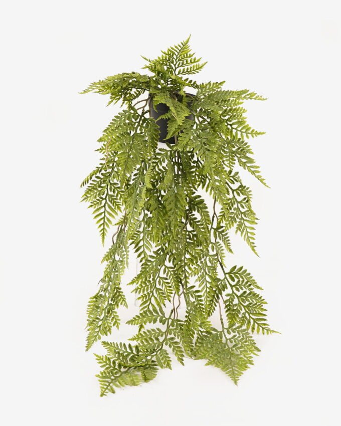 Artificial Plant 25*25*68cm Persian leaf  in PP pot GS-05524020-G1 2024Feb YeahFlower is one of Chinese leading OEM manufacturers and exporters , supplying the silk flowers, wholesale artificial trees