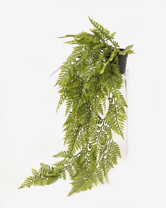 Artificial Plant 25*25*68cm Persian leaf  in PP pot GS-05524020-G1 2024Feb YeahFlower is one of Chinese leading OEM manufacturers and exporters , supplying the silk flowers, wholesale artificial trees