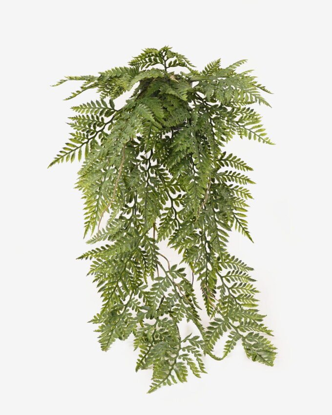 Artificial Plant 25*25*68cm Persian leaf  in PP pot GS-05524020-G1 2024Feb YeahFlower is one of Chinese leading OEM manufacturers and exporters , supplying the silk flowers, wholesale artificial trees