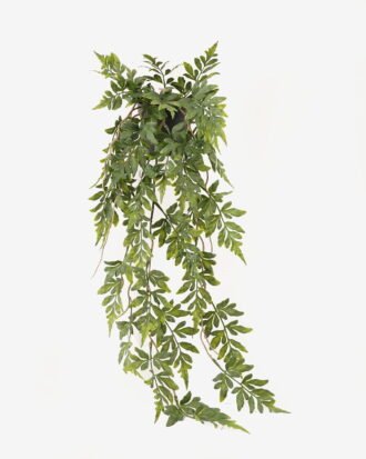 Artificial Plant 18*18*62cm Pteris ensiformis  in PP pot GS-05524021 2024Feb YeahFlower is one of Chinese leading OEM manufacturers and exporters , supplying the silk flowers, wholesale artificial trees