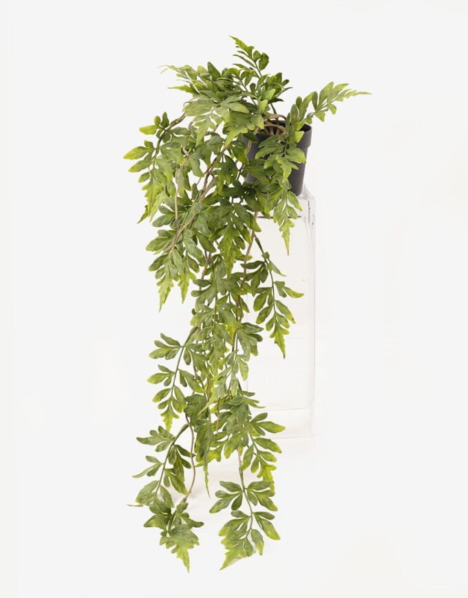 Artificial Plant 18*18*62cm Pteris ensiformis  in PP pot GS-05524021 2024Feb YeahFlower is one of Chinese leading OEM manufacturers and exporters , supplying the silk flowers, wholesale artificial trees