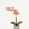 Artificial Table Plants 24*12*33cm Orchid in cement pot GS-41323015KIK 2024Feb YeahFlower is one of Chinese leading OEM manufacturers and exporters , supplying the silk flowers, wholesale artificial trees