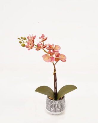 Artificial Table Plants 24*12*33cm Orchid in cement pot GS-41323015KIK 2024Feb YeahFlower is one of Chinese leading OEM manufacturers and exporters , supplying the silk flowers, wholesale artificial trees