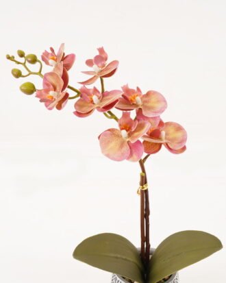 Artificial Table Plants 24*12*33cm Orchid in cement pot GS-41323015KIK 2024Feb YeahFlower is one of Chinese leading OEM manufacturers and exporters , supplying the silk flowers, wholesale artificial trees