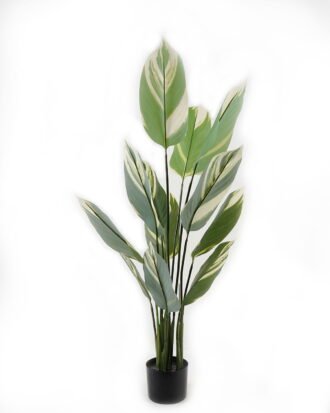 Artificial Tree 65*65*120cm Leaf in pp pot/12 lvs GS-30423118 2024Feb YeahFlower is one of Chinese leading OEM manufacturers and exporters , supplying the silk flowers, wholesale artificial trees