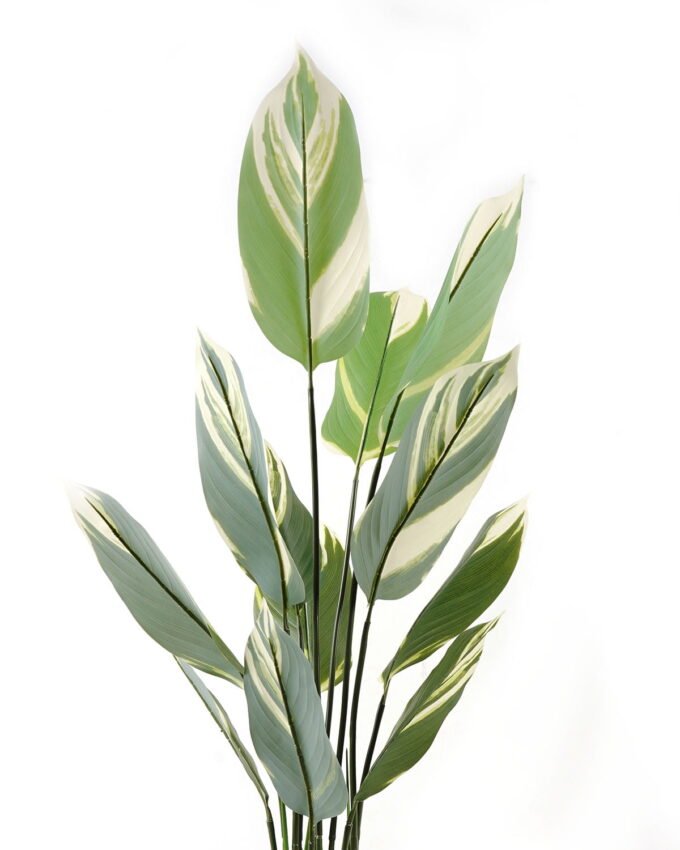 Artificial Tree 65*65*120cm Leaf in pp pot/12 lvs GS-30423118 2024Feb YeahFlower is one of Chinese leading OEM manufacturers and exporters , supplying the silk flowers, wholesale artificial trees