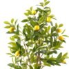Artificial Tree Lemon Tree in PP pot GS-69423087KD_7 Artificial Tree 55*55*120cm Lemon Tree in PP pot GS-69423087KD 2024Feb YeahFlower is one of Chinese leading OEM manufacturers and exporters , supplying the silk flowers, wholesale artificial trees
