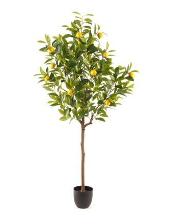 Artificial Tree 70*70*150cm Lemon Tree in PP pot GS-69423089KD 2024Feb YeahFlower is one of Chinese leading OEM manufacturers and exporters , supplying the silk flowers, wholesale artificial trees