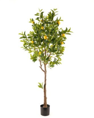Artificial Tree 80*80*180cm Lemon Tree in PP pot GS-69423090KD 2024Feb YeahFlower is one of Chinese leading OEM manufacturers and exporters , supplying the silk flowers, wholesale artificial trees