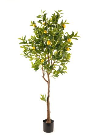 Artificial Tree 70*70*150cm Lemon Tree in PP pot GS-69423089KD Tree&Plant 3,000+ sqm showroom with thousands of artificial flowers, plants & trees ready for global sourcing.