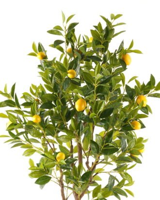 Artificial Tree 80*80*180cm Lemon Tree in PP pot GS-69423090KD 2024Feb YeahFlower is one of Chinese leading OEM manufacturers and exporters , supplying the silk flowers, wholesale artificial trees