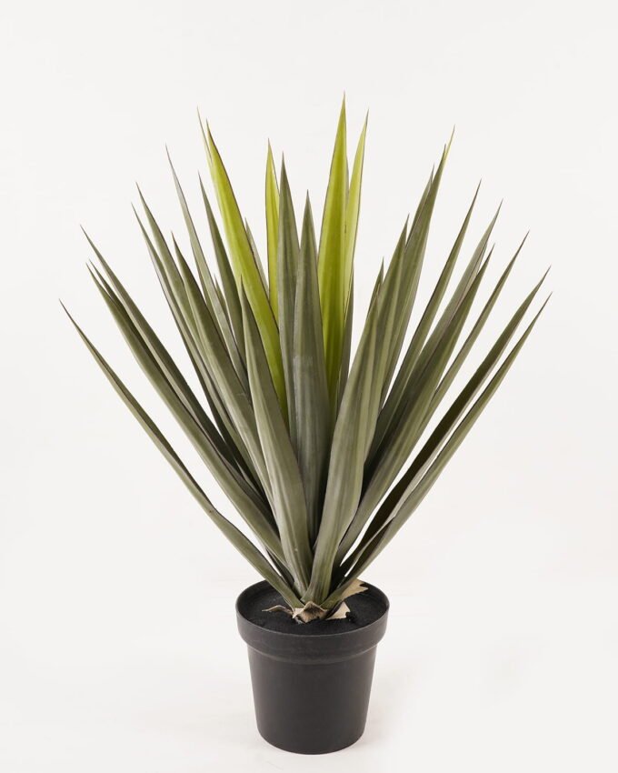 Artificial Tree 80*80*79cm Sisal hemp in PP pot GS-61123008CONTI 2024Feb YeahFlower is one of Chinese leading OEM manufacturers and exporters , supplying the silk flowers, wholesale artificial trees