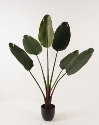 Artificial Tree 80*80*120cm Sterlitzia /lvs 6 GS-59523023KDA-UV 2024Feb YeahFlower is one of Chinese leading OEM manufacturers and exporters , supplying the silk flowers, wholesale artificial trees