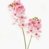 Artificial Flower 89cm Vanda coerulea *2 single stem GS-00524001DUP-P1 2024Mar YeahFlower is one of Chinese leading OEM manufacturers and exporters , supplying the silk flowers, wholesale artificial trees