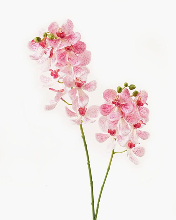 Artificial Flower 89cm Vanda coerulea *2 single stem GS-00524001DUP-P1 2024Mar YeahFlower is one of Chinese leading OEM manufacturers and exporters , supplying the silk flowers, wholesale artificial trees