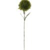Artificial Flower Caryophyllaceae single stem GS-51624006-G2_6 Artificial Flower 10*10*54cm Caryophyllaceae single stem GS-51624006-G2 2024Apr YeahFlower is one of Chinese leading OEM manufacturers and exporters , supplying the silk flowers, wholesale artificial trees