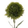 Artificial Flower Caryophyllaceae single stem GS-51624006-G2_7 Artificial Flower 10*10*54cm Caryophyllaceae single stem GS-51624006-G2 2024Apr YeahFlower is one of Chinese leading OEM manufacturers and exporters , supplying the silk flowers, wholesale artificial trees