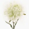 Artificial Flower 10*10*54cm Caryophyllaceae single stem GS-51624006-W1 2024Apr YeahFlower is one of Chinese leading OEM manufacturers and exporters , supplying the silk flowers, wholesale artificial trees