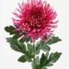 Artificial Flower Chrysanthemum 1 GS-05523092-R1_5 Artificial Flower Chrysanthemum*1 GS-05523092-R1 2024Apr YeahFlower is one of Chinese leading OEM manufacturers and exporters , supplying the silk flowers, wholesale artificial trees