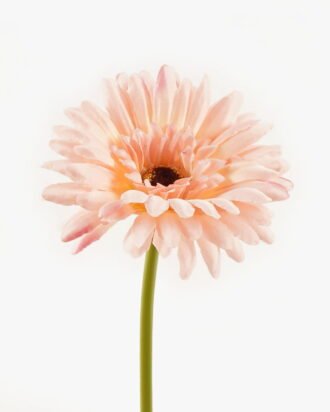 Artificial Flower 11*11*48cm Chrysanthemum single stem GS-64424001-P1 2024Apr YeahFlower is one of Chinese leading OEM manufacturers and exporters , supplying the silk flowers, wholesale artificial trees