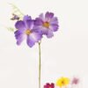 Artificial Flower 12*12*35cm Coreopsis single stem GS-40723055KC 2024Apr YeahFlower is one of Chinese leading OEM manufacturers and exporters , supplying the silk flowers, wholesale artificial trees