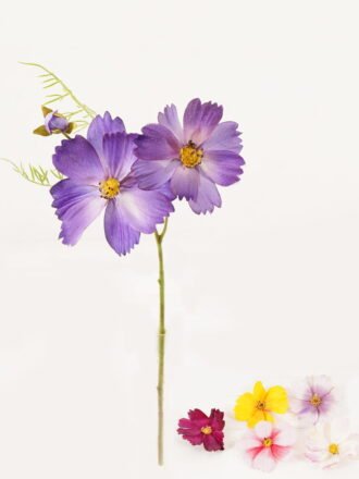 Artificial Flower 12*12*38cm Flower single stem GS-40723053KC Single Flowers 3,000+ sqm showroom with thousands of artificial flowers, plants & trees ready for global sourcing.