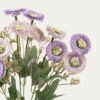 Artificial Flower Daisy*6 GS-29223003-Z1 2024Mar YeahFlower is one of Chinese leading OEM manufacturers and exporters , supplying the silk flowers, wholesale artificial trees
