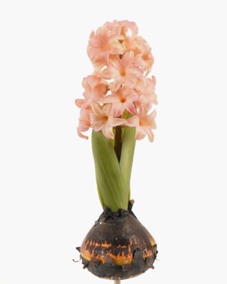 Artificial Flower 7*7*28cm Hyacinth+Onion single stem GS-41523016-P1 2024Mar YeahFlower is one of Chinese leading OEM manufacturers and exporters , supplying the silk flowers, wholesale artificial trees