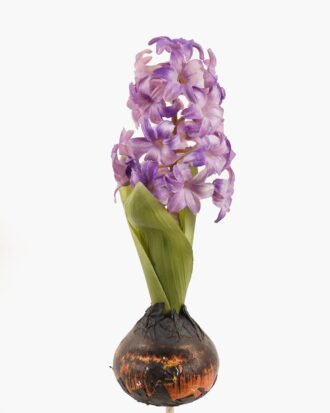 Artificial Flower 7*7*28cm Hyacinth+Onion single stem GS-41523016-Z3 2024Apr YeahFlower is one of Chinese leading OEM manufacturers and exporters , supplying the silk flowers, wholesale artificial trees