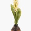 Artificial Flower 7*7*29cm Hyacinth+Onion single stem GS-41523017-W1 2024Mar YeahFlower is one of Chinese leading OEM manufacturers and exporters , supplying the silk flowers, wholesale artificial trees